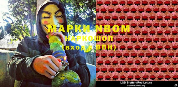 мет Алексин