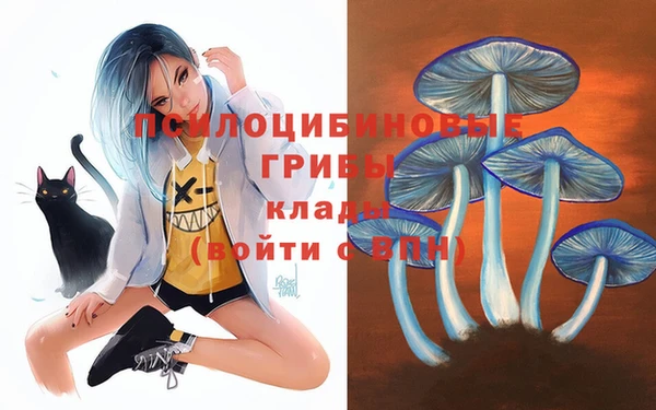 мет Алексин
