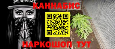 a pvp Краснодар