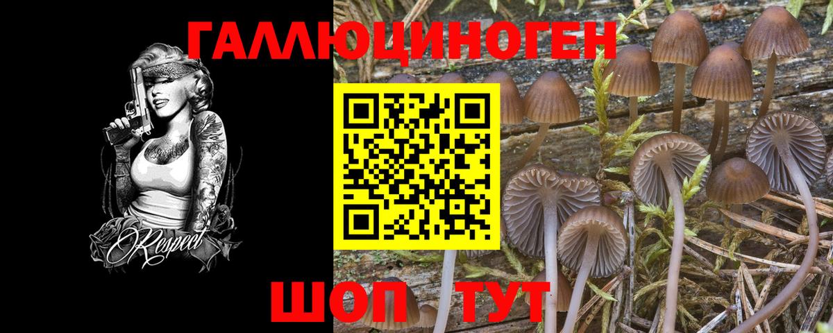 Галлюциногенные грибы Magic Shrooms  Галлюциногенные грибы Cubensis  Каменск-Уральский  цены наркотик  Вход с VPN 