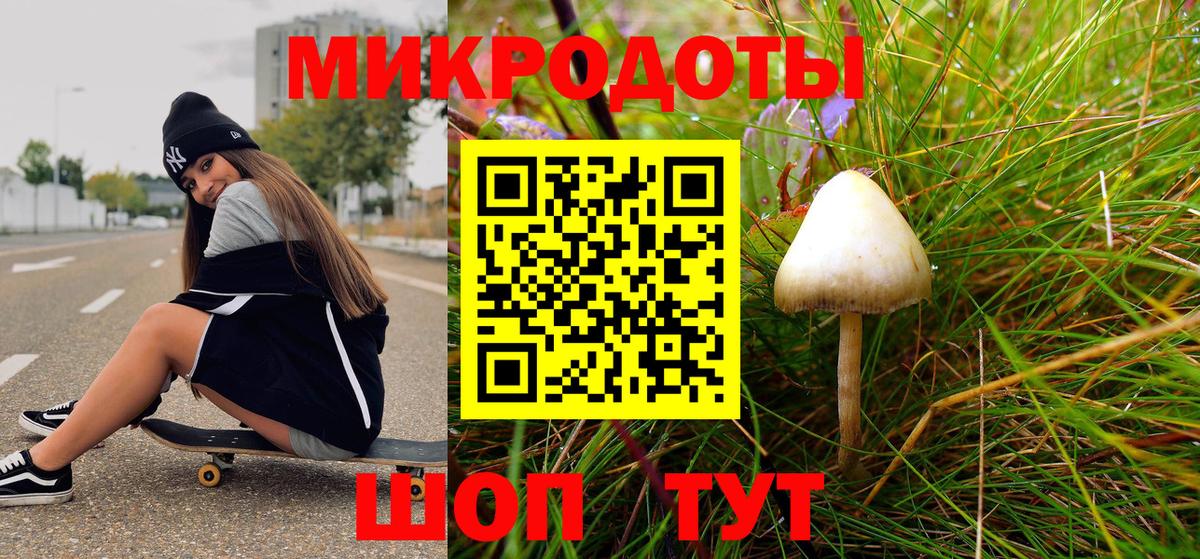 Псилоцибиновые грибы Psilocybine cubensis Каменск-Уральский